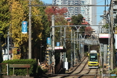 意外にくねくねしている都電の線路（縦にくねくね）