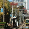 意外にくねくねしている都電の線路（縦にくねくね）