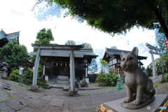 蚕影神社～猫返し神社