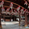 金魚が泳ぐ神社