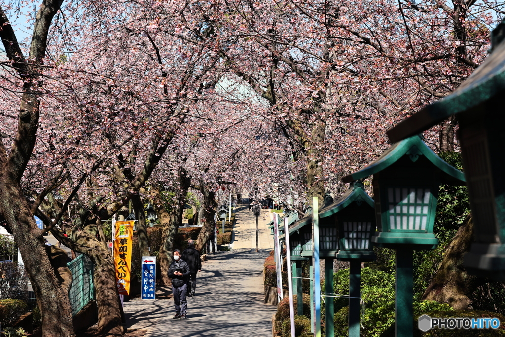 密蔵院参道