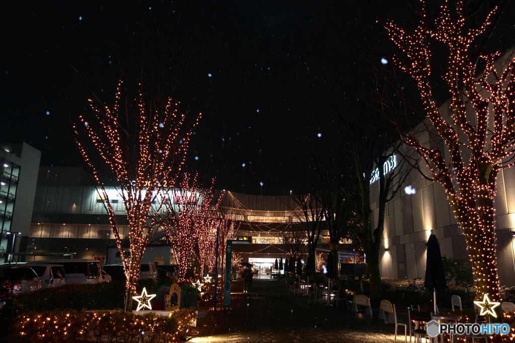 雪降る夜