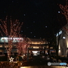 雪降る夜