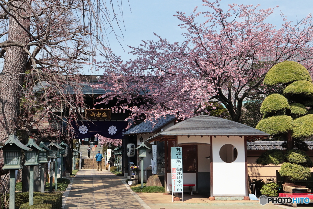 静かな春