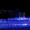 Starlight Garden 2014