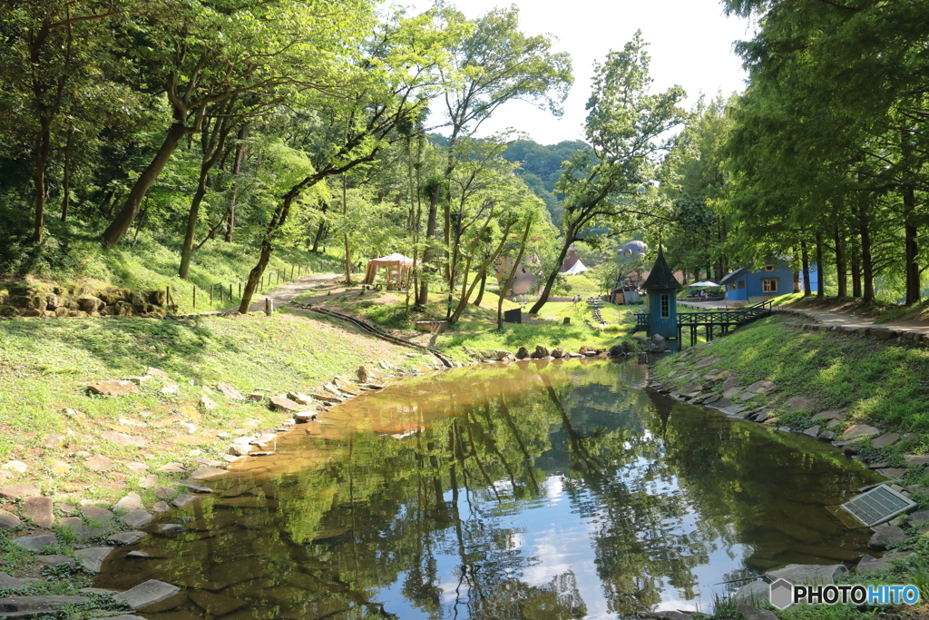 池のほとり