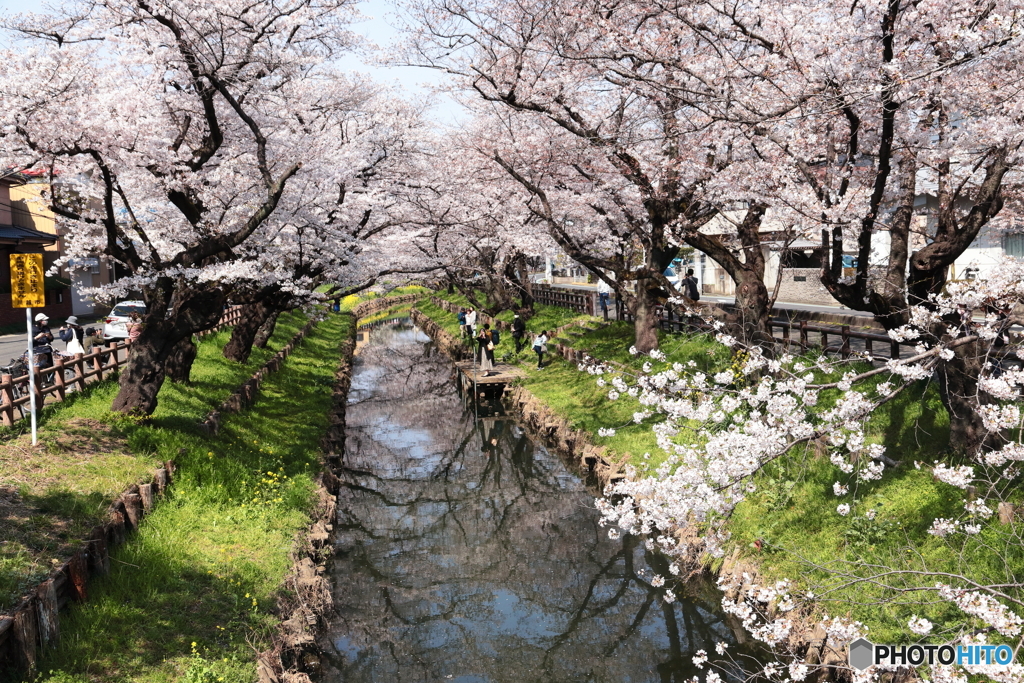 春の情景