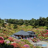 塩船観音寺