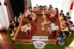 変わり雛　総合馬術