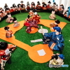変わり雛　野球