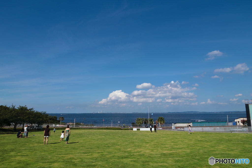 美術館から見える海