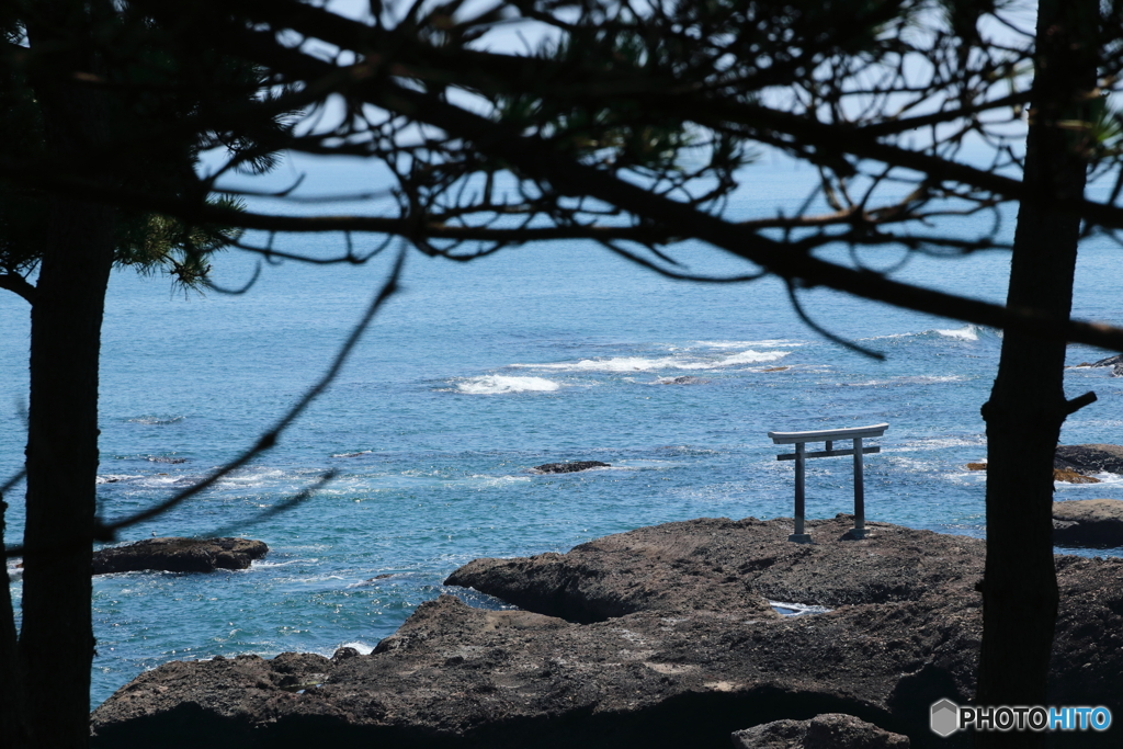 夏の鳥居