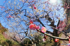 春の光の中で