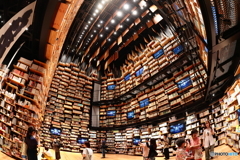 角川武蔵野ミュージアム～本棚劇場FISHEYE
