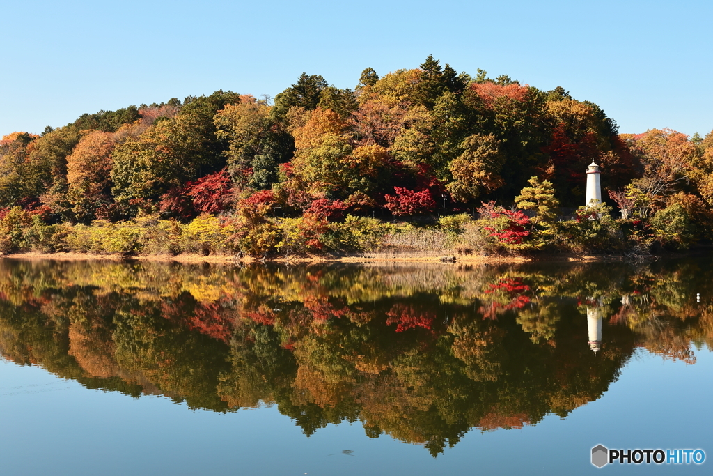 紅葉シンメトリー