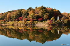 紅葉シンメトリー
