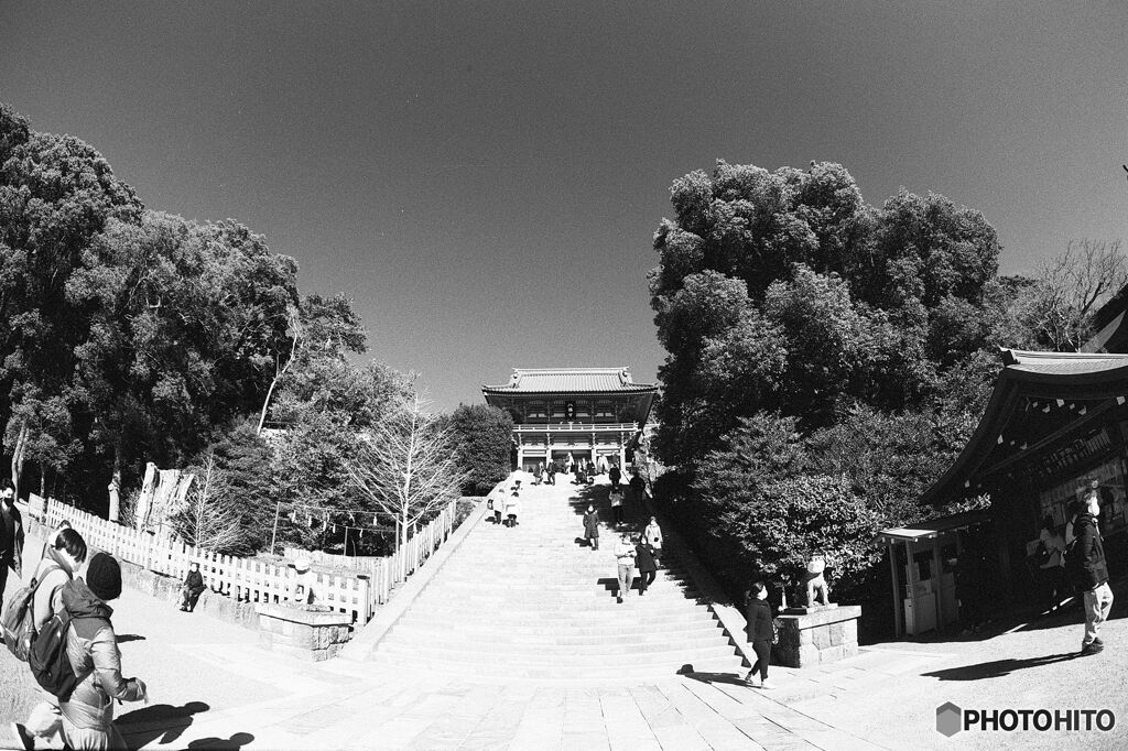 鶴岡八幡宮