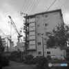周りばかりが工事中