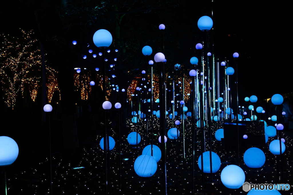 CHRISTMAS GARDEN LIGHTS（Blue）
