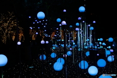 CHRISTMAS GARDEN LIGHTS（Blue）