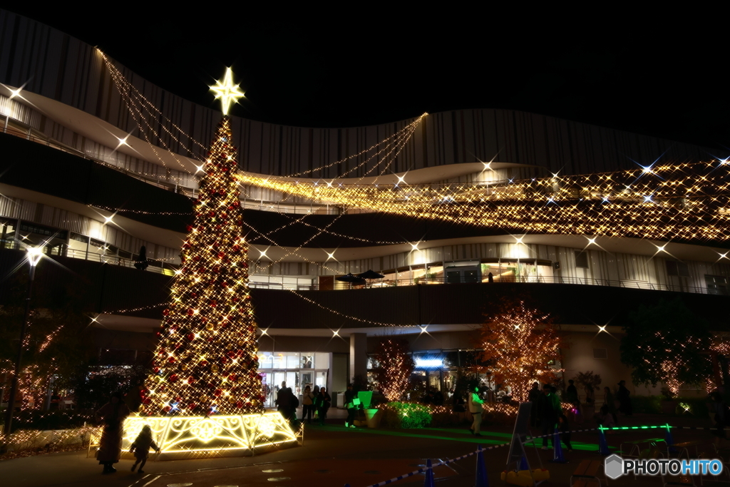 クリスマスツリー