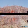 山頂を目指して