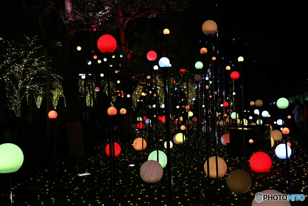 CHRISTMAS GARDEN LIGHTS