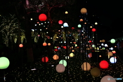 CHRISTMAS GARDEN LIGHTS