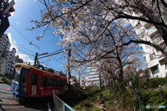 東京さくらトラム