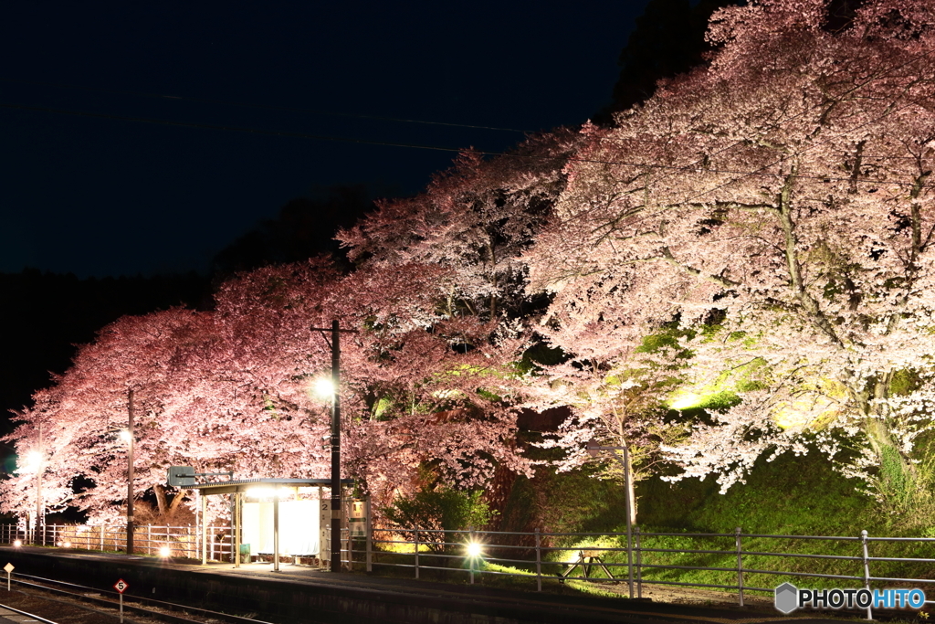 磐越東線舞木駅（夜）