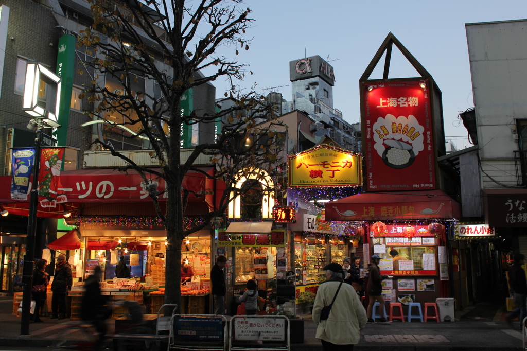 ハーモニカ横丁