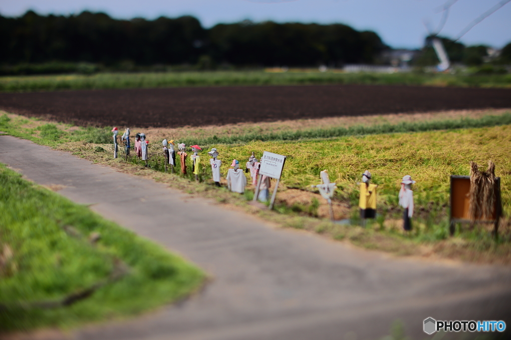 手のひらサイズの田園風景