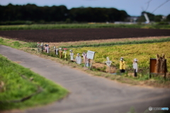 手のひらサイズの田園風景
