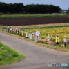手のひらサイズの田園風景