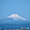 Mt. FUJI