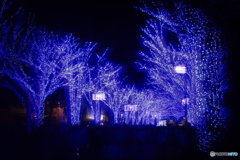 青の洞窟2024 in SHIBUYA #2