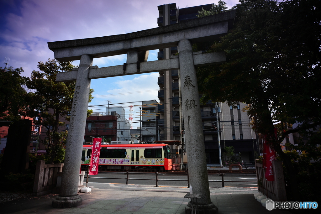 鳥居と都電