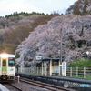 桜咲く駅