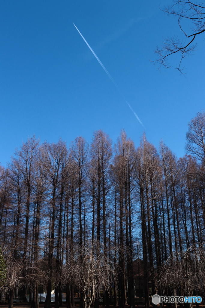 飛行機雲