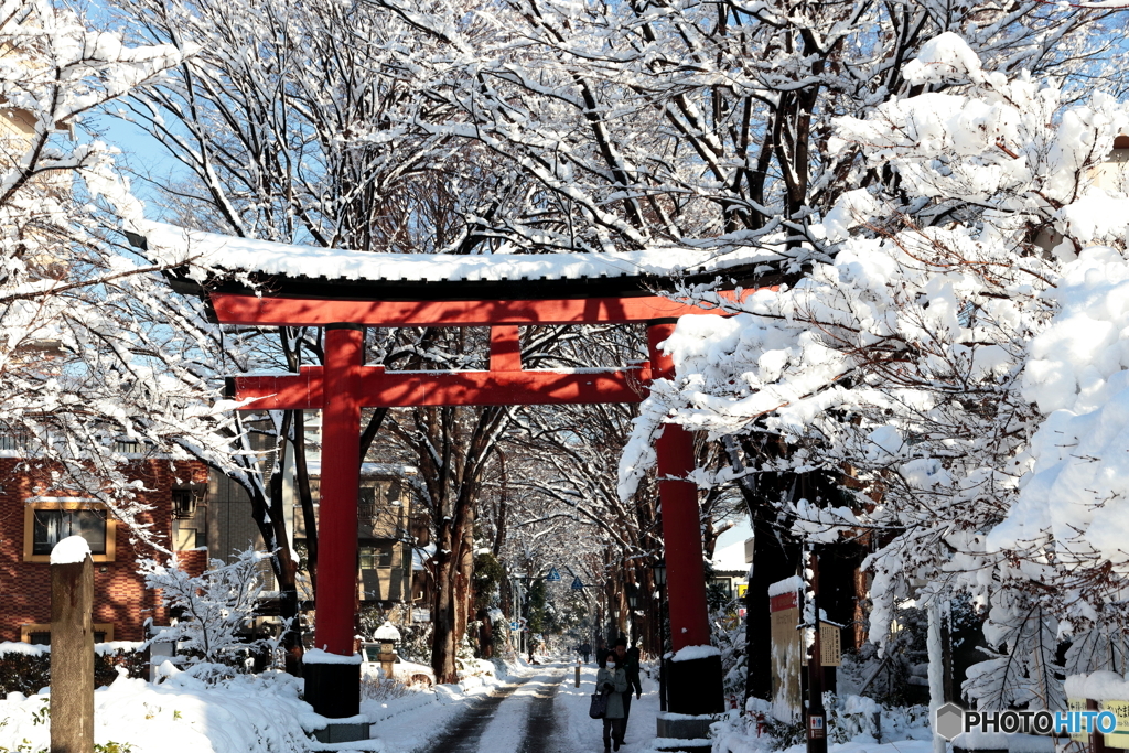 雪の参道