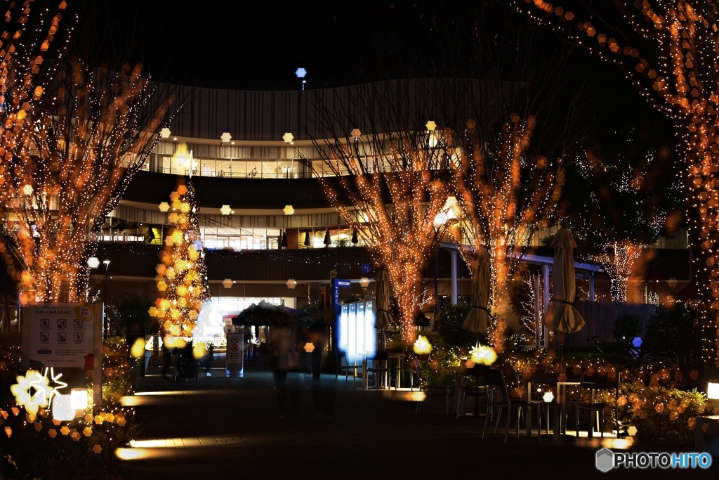 イルミネーション