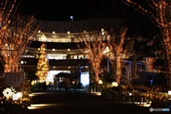 イルミネーション