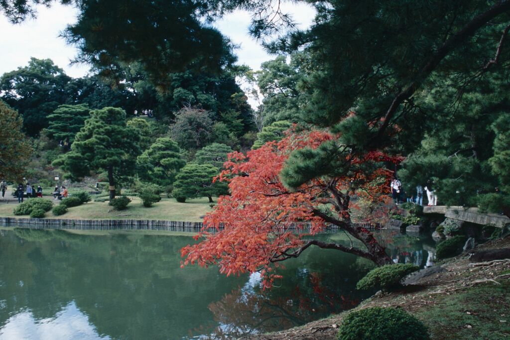 六義園の秋