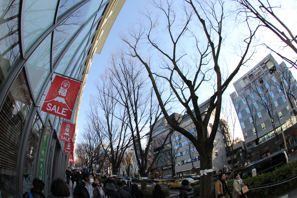 表参道の正月