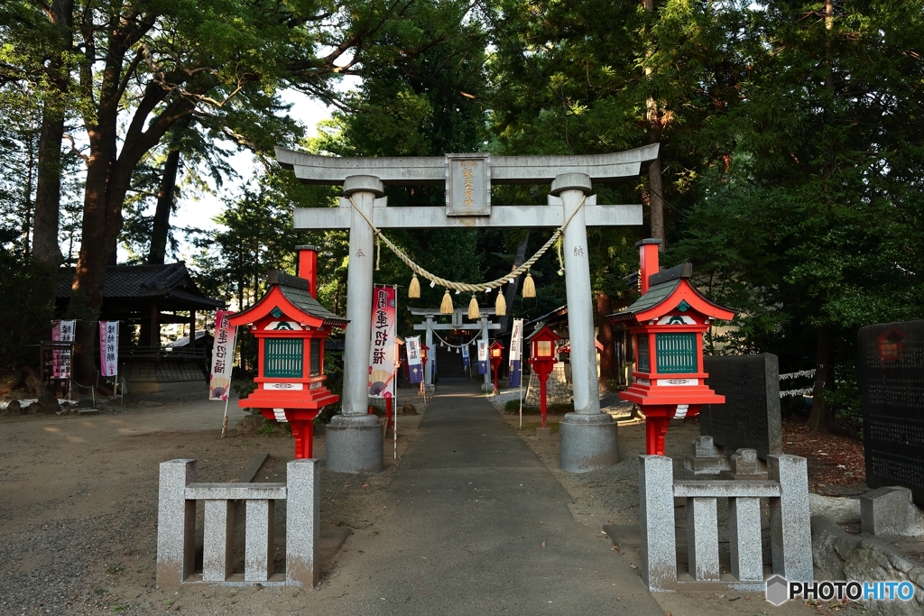 夏詣の参道