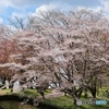 磯部桜川公園
