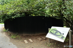 Toilet in Nature（世界一大きなトイレ）