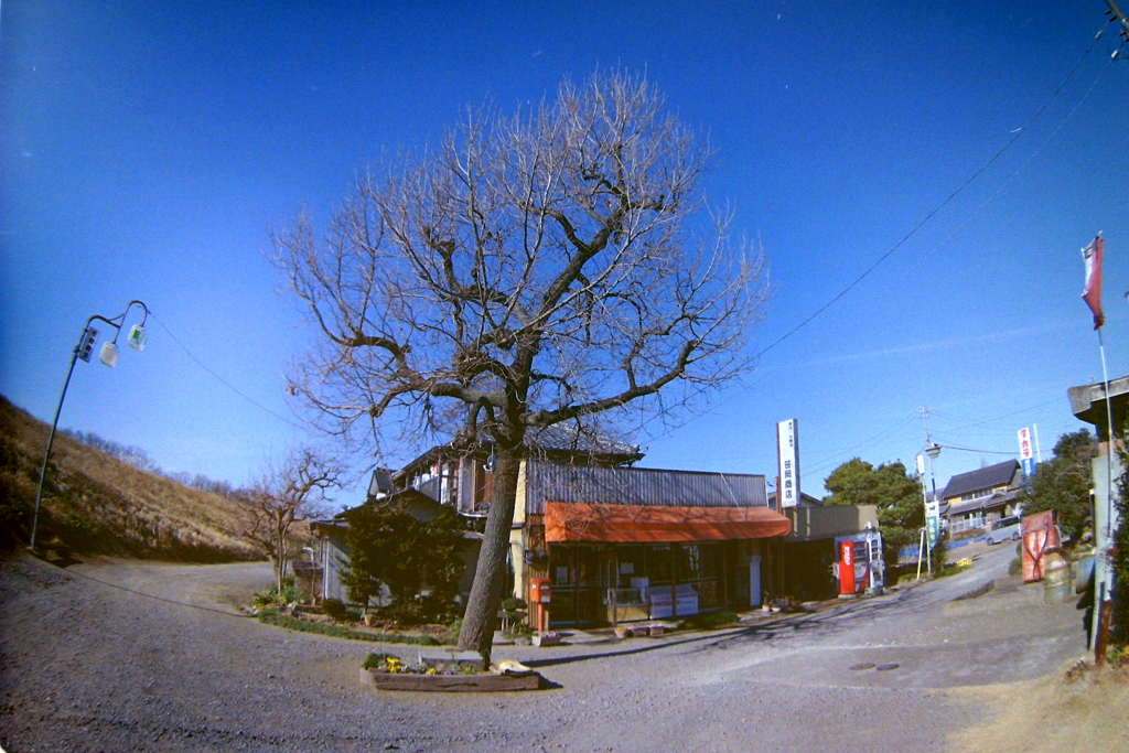 追憶の街角（フィルム×FISHEYE）