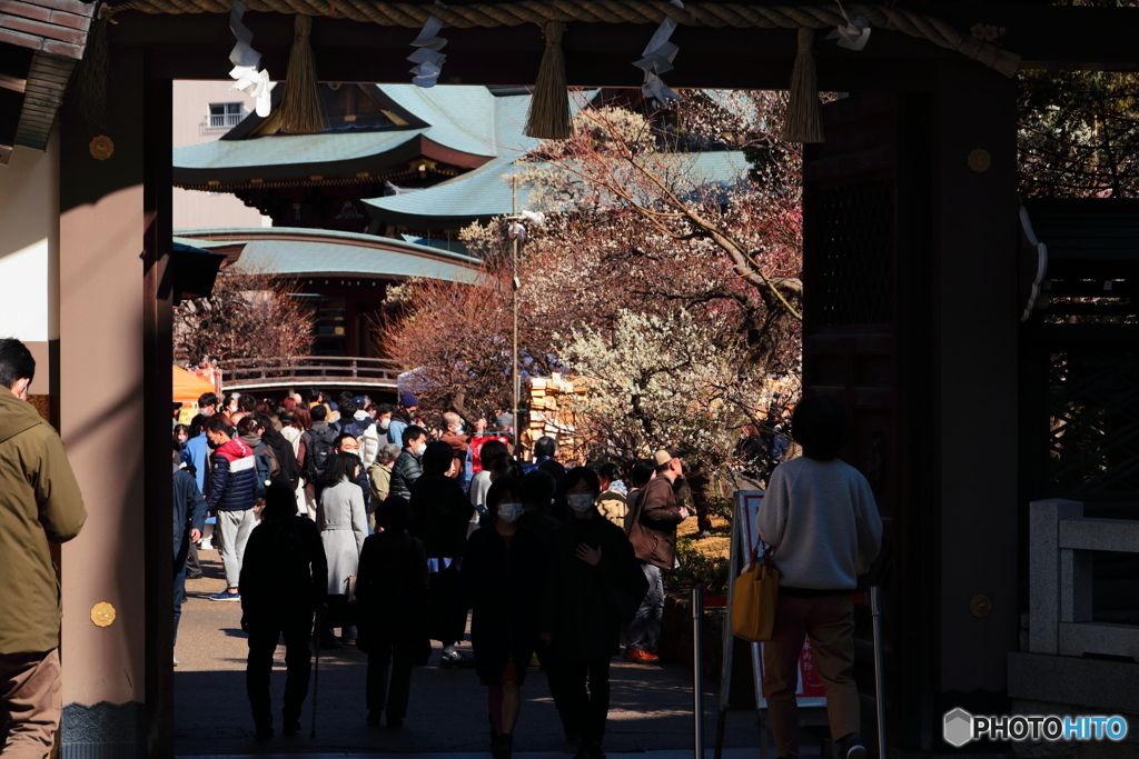 天神様の梅まつり