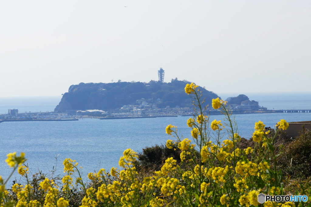 春の江ノ島